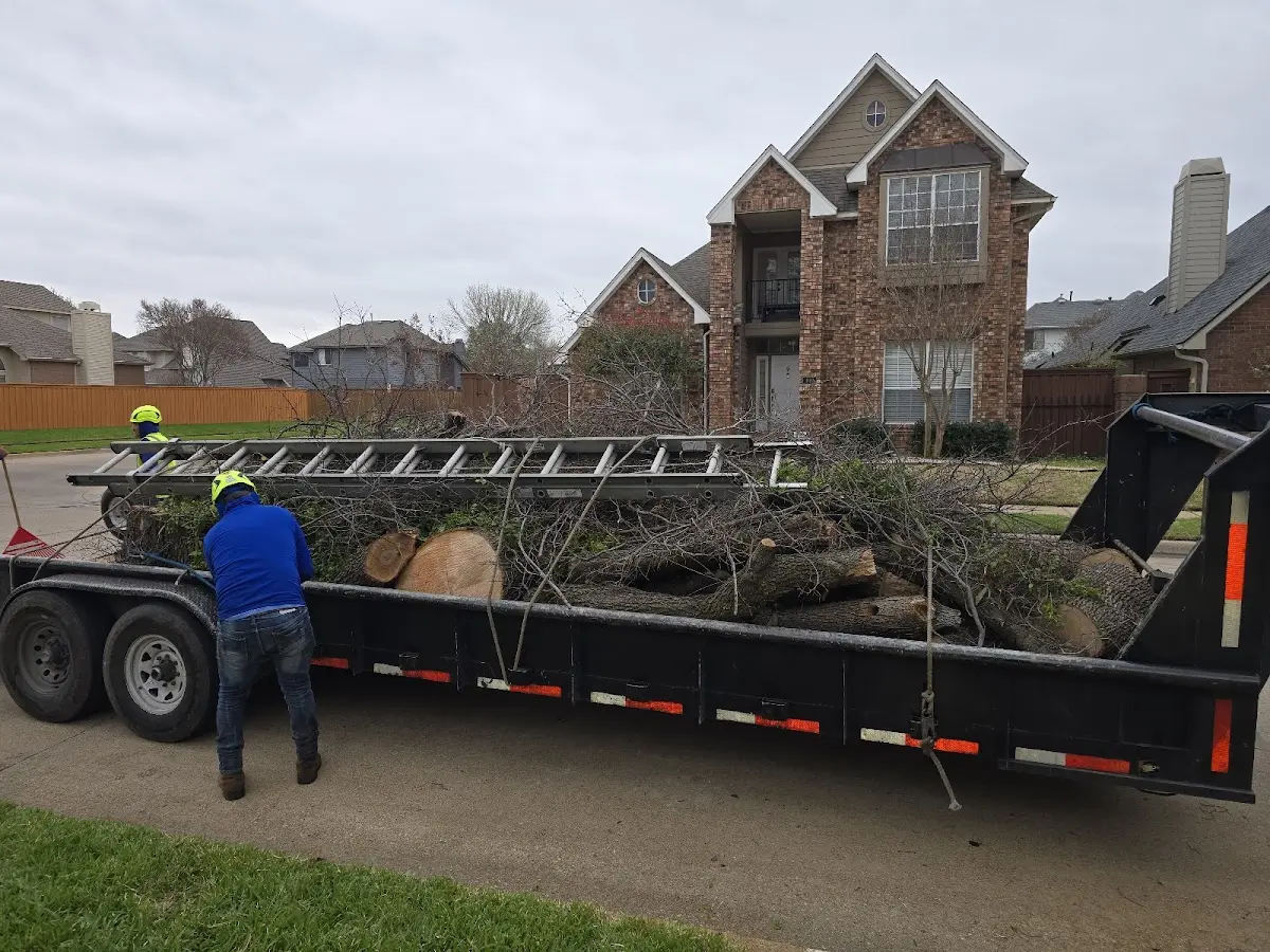 Expert Lot Clearing with proper safety equipment in Okabena